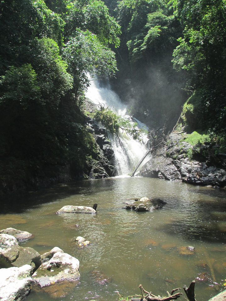 Cachoeira - Corupá